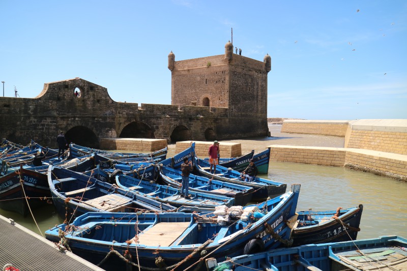 5 daagse combinatie reis koningsstad Marrakech, Agafay woestijn en Essouira kust