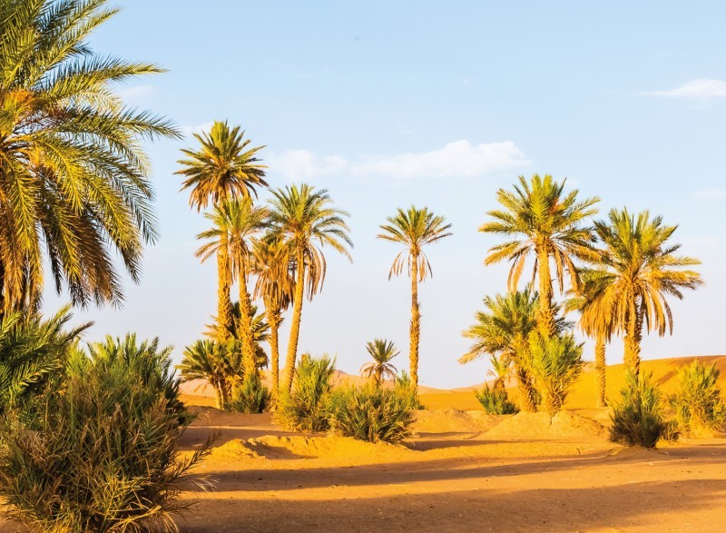 Tour in het zuiden van Marokko naar de woestijn van Merzouga – Ouarzazate