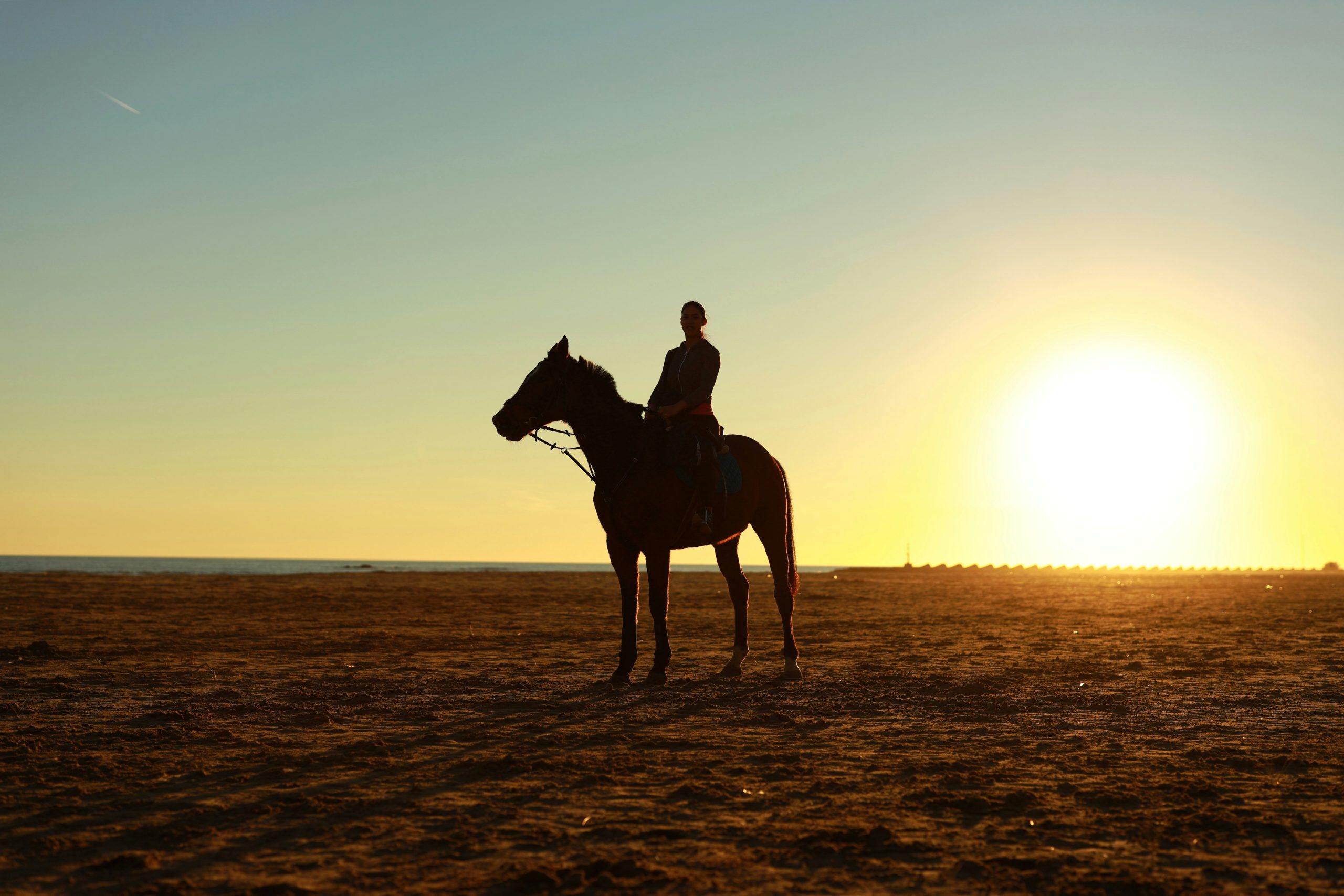 Heerlijk galopperen langs het strand in Essaouira met zonsondergang – Marrakech