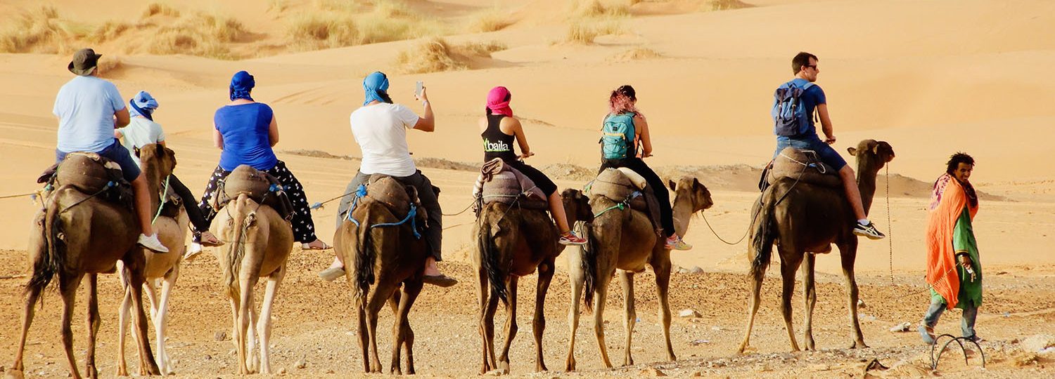 Kamelenexcursie Palmeraie Marrakech – 2 uur als nomade door de uitgedroogde palmtuinen van Marrakech start vanuit jouw accommodatie in Marrakech – Marrakech