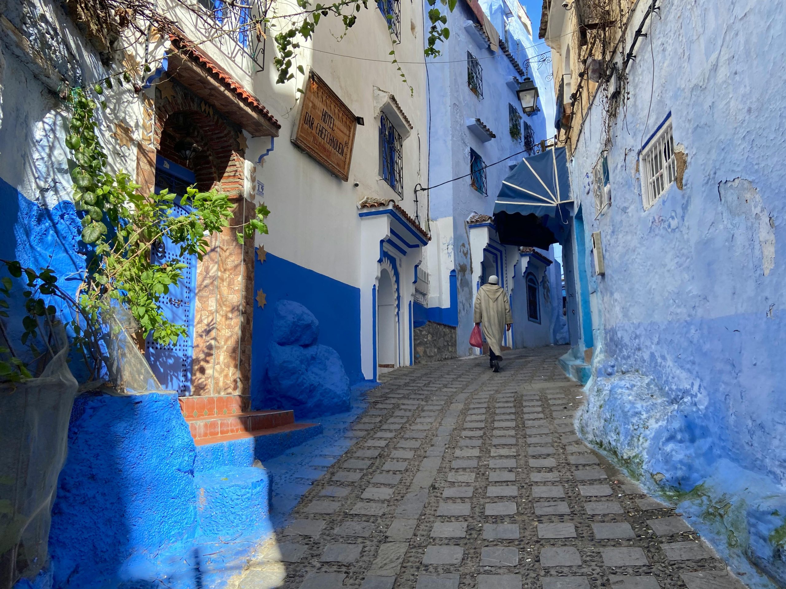 Dagexcursie Essaouira UNESCO Werelderfgoed sinds 2001 de blauwe parel met een kleine havenstad aan de Atlantische kust – incl. op de route geiten in Arganbomen foto bezoek – Marrakech