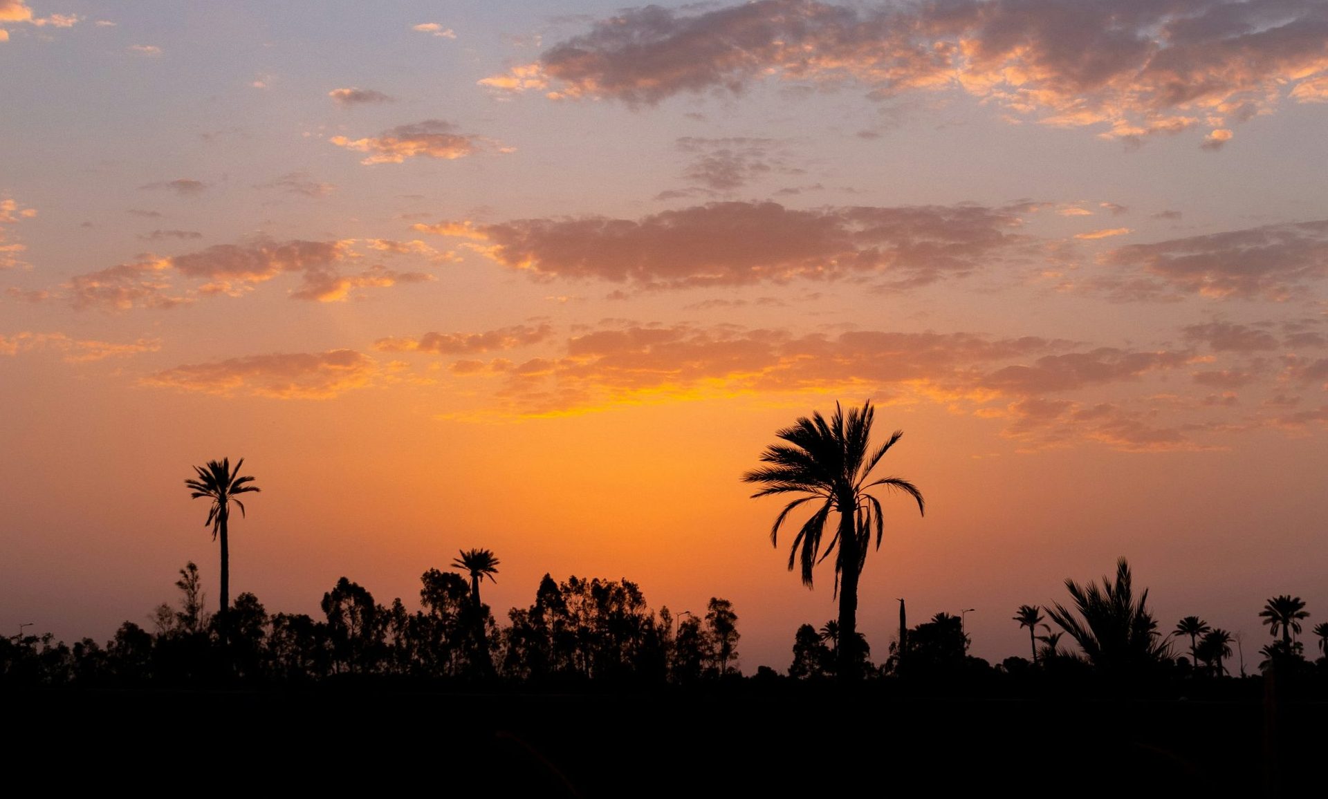 Tour langs de kust via Casablanca voor watersport-, surf- en strandliefhebbers – Marrakech